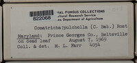 Image Associated With the Occurence